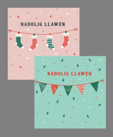NEWYDD: Pecyn Nadolig / Christmas pack (Busnesau - plîs ffoniwch i archebu / Businesses - please phone to order)
