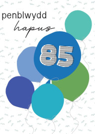 85 B - Balwns