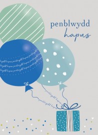 PB agored - Balwns glas / Open BD - Blue balloons