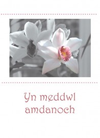 Cydym - Tegeirian 1 / Symp - Colourpop Orchid