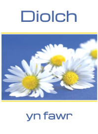 Diolch - Llygaid y Dydd / Thank You - Daisy Chain