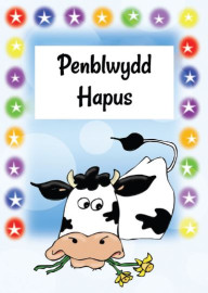 Buwch Ffynci / Funky Cow