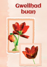 Gwellhad - Tiwlip / Get Well – Tulip