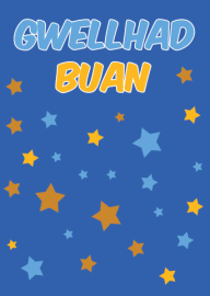 Gwellhad - Geiriau / Get Well - Words