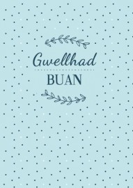 Gwellhad Buan / Get Well - 1B