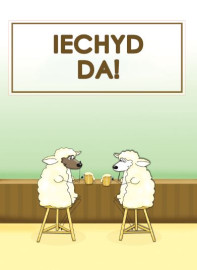 Iechyd Da / Cheers