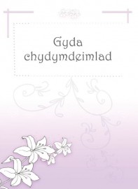 Cydym - Piws Golau / Symp - Lilac