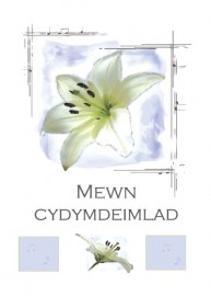 Cydym - Lili Las Golau / Symp - Light Blue Lily