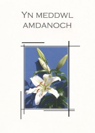Cydym - Lili Las Tywyll / Symp - Dark Blue Lily