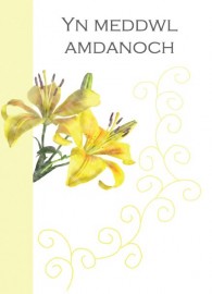 Cydym - Lili Felen / Sym - Yellow Lily