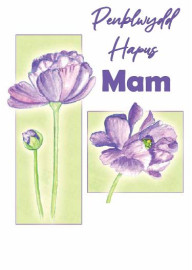 Mam - Anemoni / Mum - Anemone