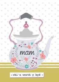 Mam - Chi'n Werth y Byd / Mum - You Mean the World to Me