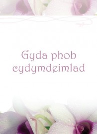 Cydym - Tegeirianau / Symp - Orchids