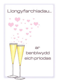 Penblwydd Eich Priodas - Cariad / Your Anniv - Love
