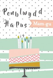 PB Mam-gu Cacen - BD Nan Cake
