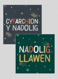 Pecyn Nadolig / Christmas pack (Busnesau - plîs ffoniwch i archebu / Businesses - please phone to order) 