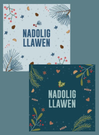 2026: Pecyn Nadolig / Christmas pack (Busnesau - plîs ffoniwch i archebu / Businesses - please phone to order)