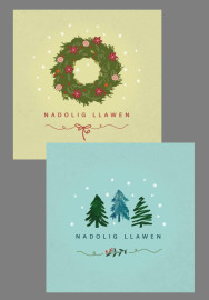 2026: Pecyn Nadolig / Christmas pack (Busnesau - plîs ffoniwch i archebu / Businesses - please phone to order)