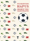 Brawd yng nghyf. - Pel-droed / Brother in law - Football