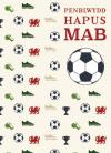 Mab - Pel-droed / Son - Football