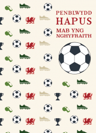 Mab yng nghyf. - Pel-droed / Son in law - Football