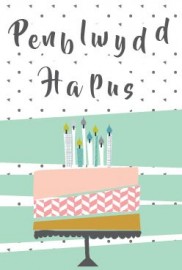 PB Agored - Cacen fawr / Open BD - Large cake