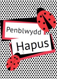 Penblwydd Agored - Buwch Goch Gota / Open Birthday – Ladybird