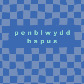 Sgwâr - Penblwydd / Birthday