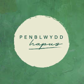 Sgwâr - Penblwydd / Birthday