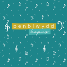 Sgwâr - Penblwydd / Birthday