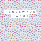 Sgwâr - Penblwydd / Birthday