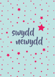 Swydd Newydd - M / New Job - F